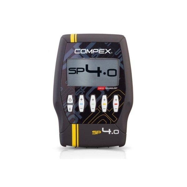 Brown bear - Vector graphics